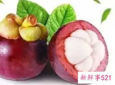 山竹的功效与作用食用禁忌