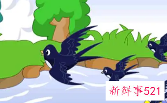 关于怀孕初期的童话胎教