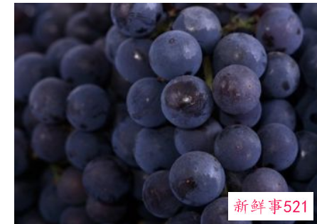 吃什么水果可以排除体内的毒素