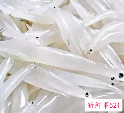 什么鱼营养价值最高又便宜