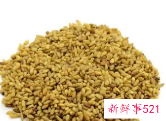 柏子仁功效与作用