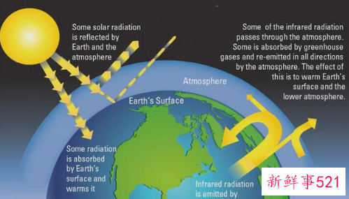 北美高温致海滩大量蛤蜊死亡
