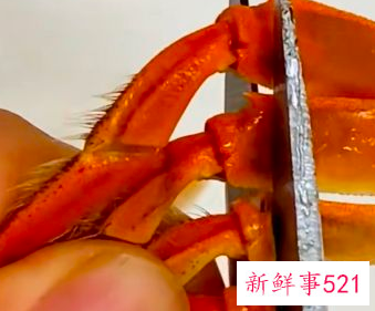 螃蟹的蒸法螃蟹怎么蒸