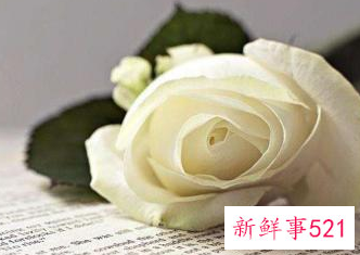 离不开她的句子