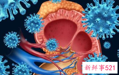 香蕉有啥子功效