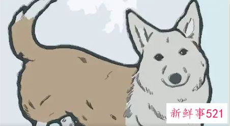 属狗感情还能复合