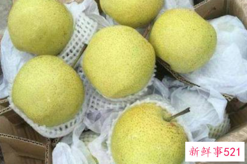 梨的品种有哪些