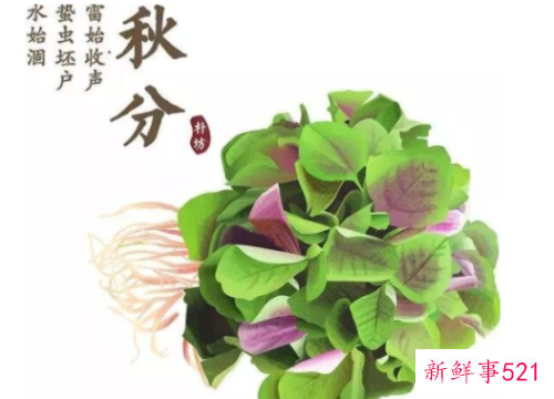 秋分吃什么传统食物好