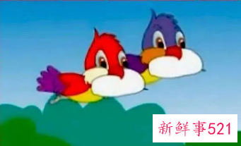 小鸟飞到窗口的暗示