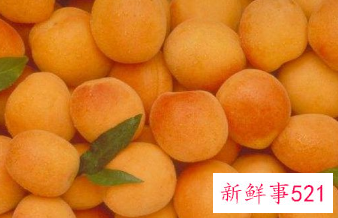 水果营养价值排行图