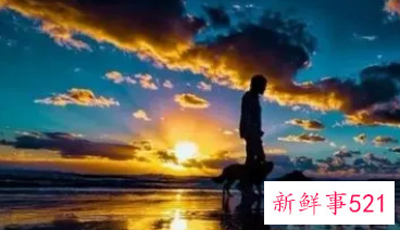 跟没有感情的人在一起生活是什么体验