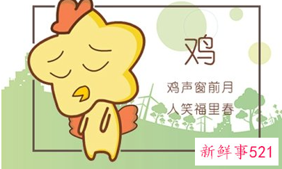 生肖鸡适合戴绿松石吗