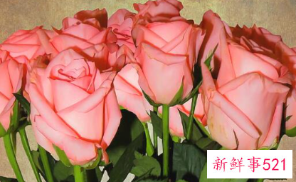 送花给女朋友发朋友圈文案