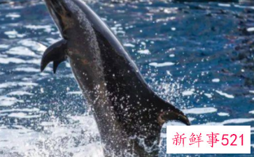 南山海边有休闲的地方吗