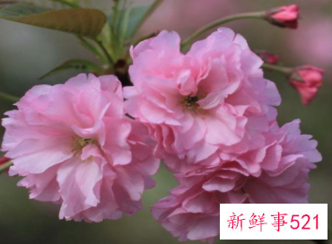 同时拥有双鱼座和水瓶座的人是什么样的人