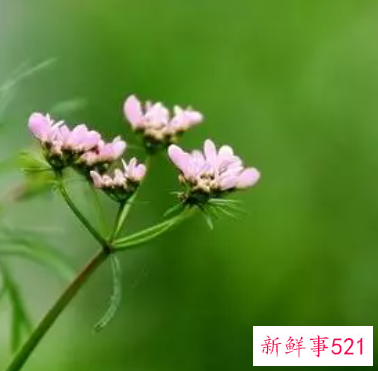 春天的气息的意思