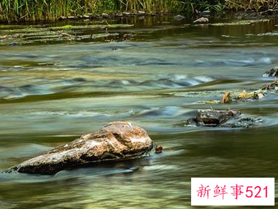 周公解梦梦见过河