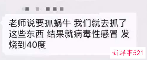 雨后路边出现的大蜗牛千万别碰