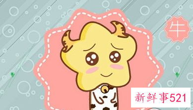 97年属牛生肖配对