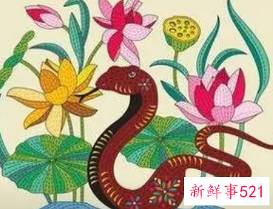 属猪女和属蛇男适合做夫妻吗