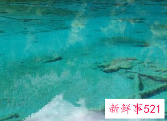 狮子座幸运的颜色