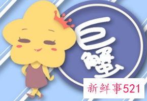 哪些星座财运旺