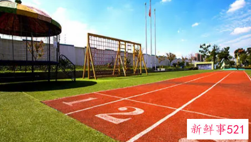 梦见校园有什么征兆