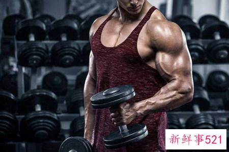 增肌心得5个建议