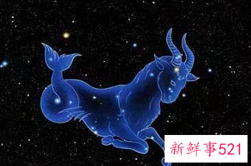 最勤劳喜欢打扫整理的星座