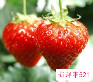 有哪些美白补水面膜好用