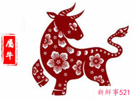 属牛人2021全年运势
