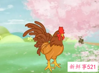 梦见公鸡追着啄我是什么意思