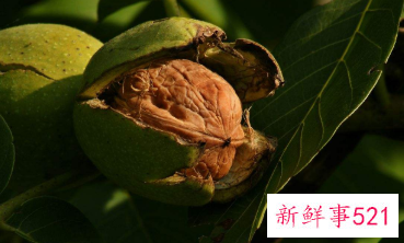 什么水果含钙量最高