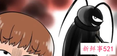 为什么蟑螂不能踩死