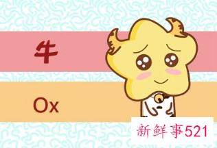 属牛适合什么行业