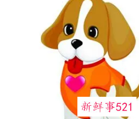 属狗人命中注定另一半