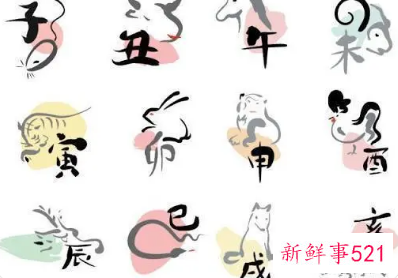 喜欢搞暧昧的生肖女