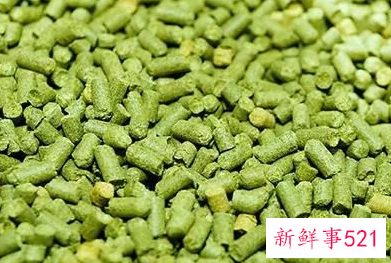 酒花浸膏对身体危害