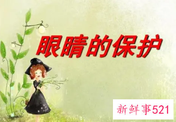 眼睛的基本知识大全