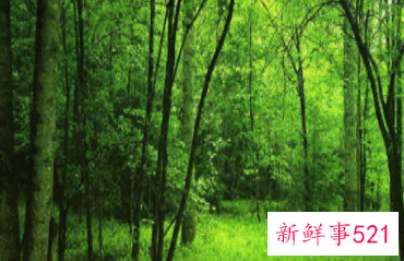 男生喜欢什么颜色代表什么