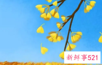 代表秋天的三样东西