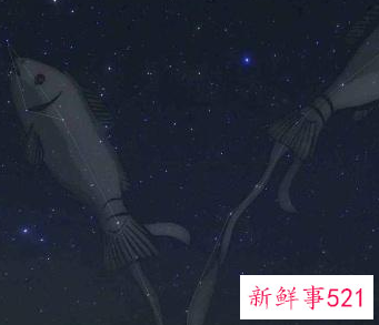 双鱼座的魅力真的很强