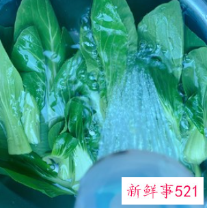 青菜粥怎么做好吃家常做法