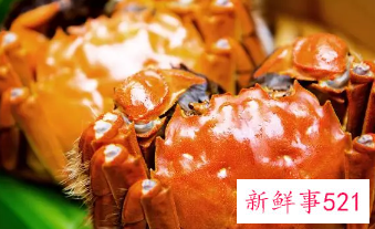 连续几天吃螃蟹好不好