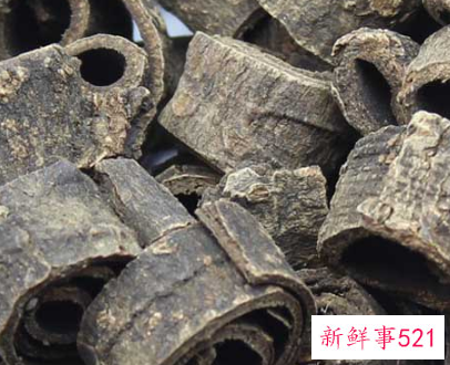 川朴的功效与作用是什么