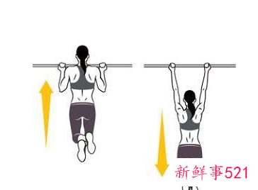 锻炼身体动作名称