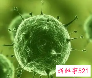 请问什么东西可以致癌