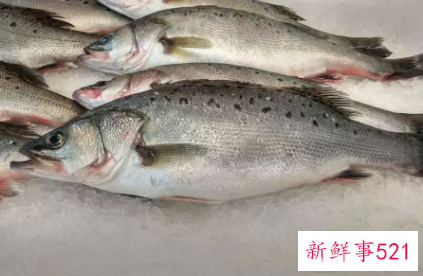 什么鱼营养价值最高又便宜