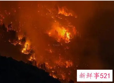 梦见火被我浇灭是什么意思