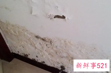 墙皮为什么脱落